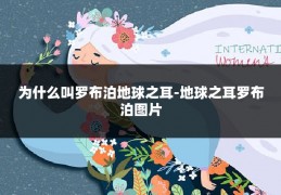 为什么叫罗布泊地球之耳-地球之耳罗布泊图片