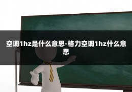 空调1hz是什么意思-格力空调1hz什么意思