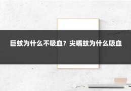 巨蚊为什么不吸血?尖嘴蚊为什么吸血
