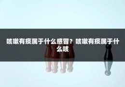 咳嗽有痰属于什么感冒？咳嗽有痰属于什么咳