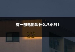 有一部电影叫什么八小时?