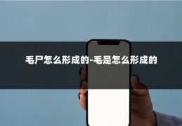 毛尸怎么形成的-毛是怎么形成的