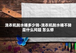 洗衣机脱水桶多少钱-洗衣机脱水桶不转是什么问题 怎么修