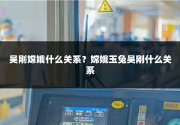 吴刚嫦娥什么关系？嫦娥玉兔吴刚什么关系