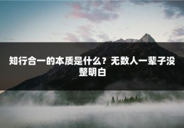 知行合一的本质是什么？无数人一辈子没整明白