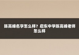 陈高峰名字怎么样?启东中学陈高峰老师怎么样