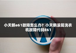 小天鹅e61故障怎么办？小天鹅滚筒洗衣机故障代码E61