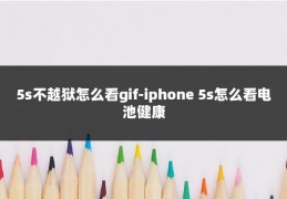 5s不越狱怎么看gif-iphone 5s怎么看电池健康