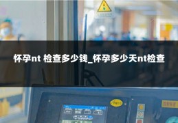 怀孕nt 检查多少钱_怀孕多少天nt检查