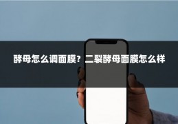 酵母怎么调面膜?二裂酵母面膜怎么样
