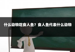 什么动物吃食人鱼?食人鱼代表什么动物