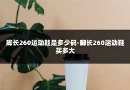 脚长260运动鞋是多少码-脚长260运动鞋买多大
