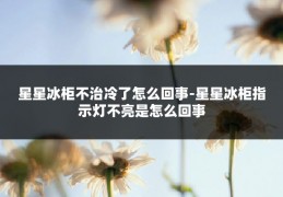 星星冰柜不治冷了怎么回事-星星冰柜指示灯不亮是怎么回事
