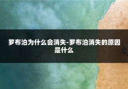 罗布泊为什么会消失-罗布泊消失的原因是什么