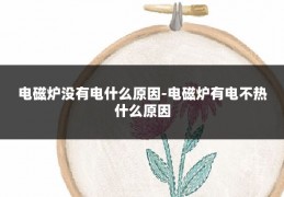 电磁炉没有电什么原因-电磁炉有电不热什么原因
