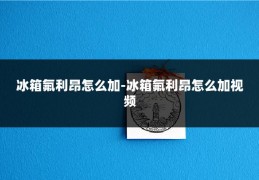 冰箱氟利昂怎么加-冰箱氟利昂怎么加视频