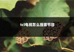 tcl电视怎么搜索节目