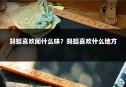 蚂蝗喜欢闻什么味？蚂蝗喜欢什么地方