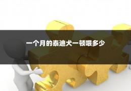 一个月的泰迪犬一顿喂多少