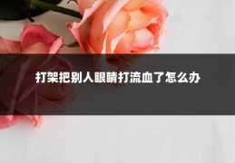 打架把别人眼睛打流血了怎么办