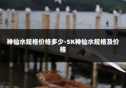 神仙水规格价格多少-SK神仙水规格及价格