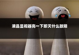 液晶显视器亮一下即灭什么故障