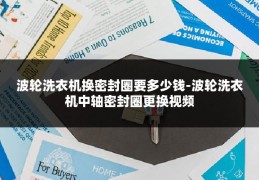 波轮洗衣机换密封圈要多少钱-波轮洗衣机中轴密封圈更换视频