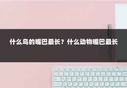 什么鸟的嘴巴最长？什么动物嘴巴最长