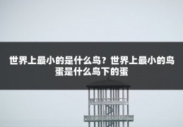 世界上最小的是什么鸟？世界上最小的鸟蛋是什么鸟下的蛋