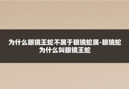 为什么眼镜王蛇不属于眼镜蛇属-眼镜蛇为什么叫眼镜王蛇