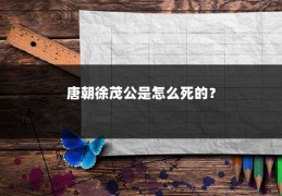 唐朝徐茂公是怎么死的？