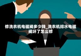 修洗衣机电磁阀多少钱_洗衣机排水电磁阀坏了怎么修