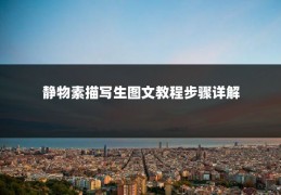 静物素描写生图文教程步骤详解