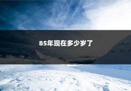 85年现在多少岁了