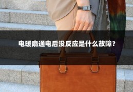 电暖扇通电后没反应是什么故障?
