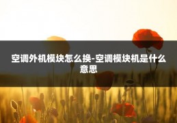 空调外机模块怎么换-空调模块机是什么意思