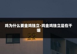 鸡为什么要金鸡独立-鸡金鸡独立是在干嘛