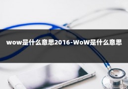 wow是什么意思2016-WoW是什么意思