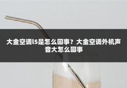 大金空调l5是怎么回事?大金空调外机声音大怎么回事