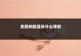 史前的蛇是长什么样的