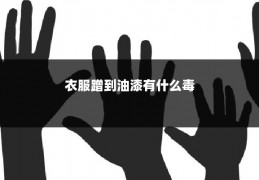 衣服蹭到油漆有什么毒