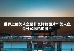世界上的美人鱼是什么样的图片?美人鱼是什么颜色的图片