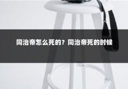 同治帝怎么死的？同治帝死的时候