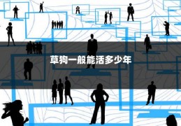 草狗一般能活多少年