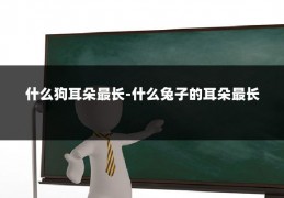 什么狗耳朵最长-什么兔子的耳朵最长