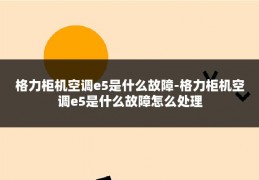 格力柜机空调e5是什么故障-格力柜机空调e5是什么故障怎么处理