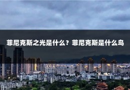 菲尼克斯之光是什么?菲尼克斯是什么鸟