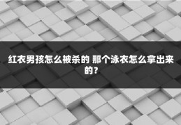 红衣男孩怎么被杀的 那个泳衣怎么拿出来的?