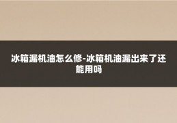 冰箱漏机油怎么修-冰箱机油漏出来了还能用吗
