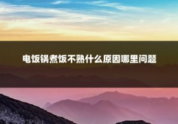 电饭锅煮饭不熟什么原因哪里问题